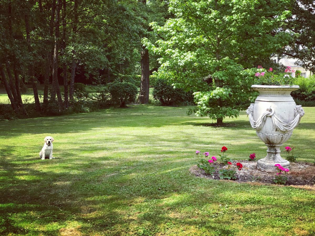 Chambre D'Hote Manoir De Clairbois Larcay Buitenkant foto